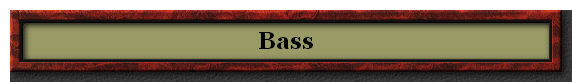 Bass